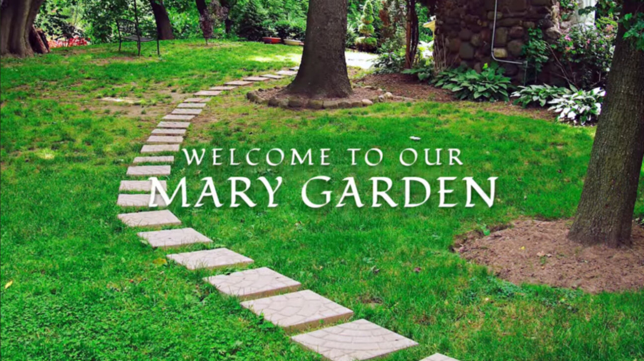 Welcome to our Mary Garden