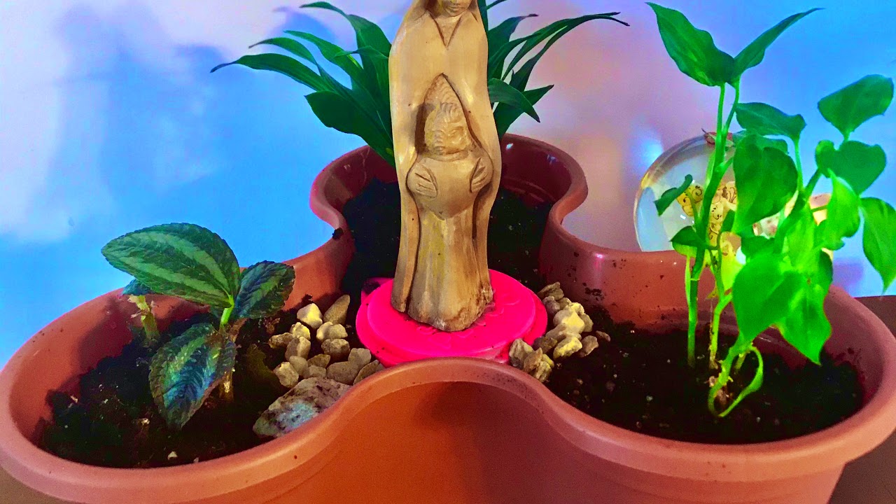 Making a Mary Garden