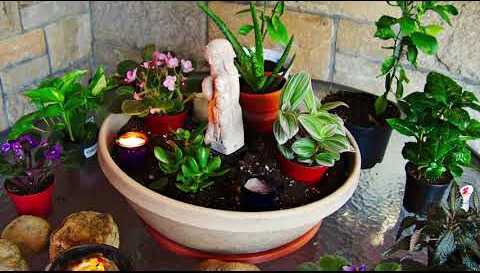Advent in Our Mary Garden