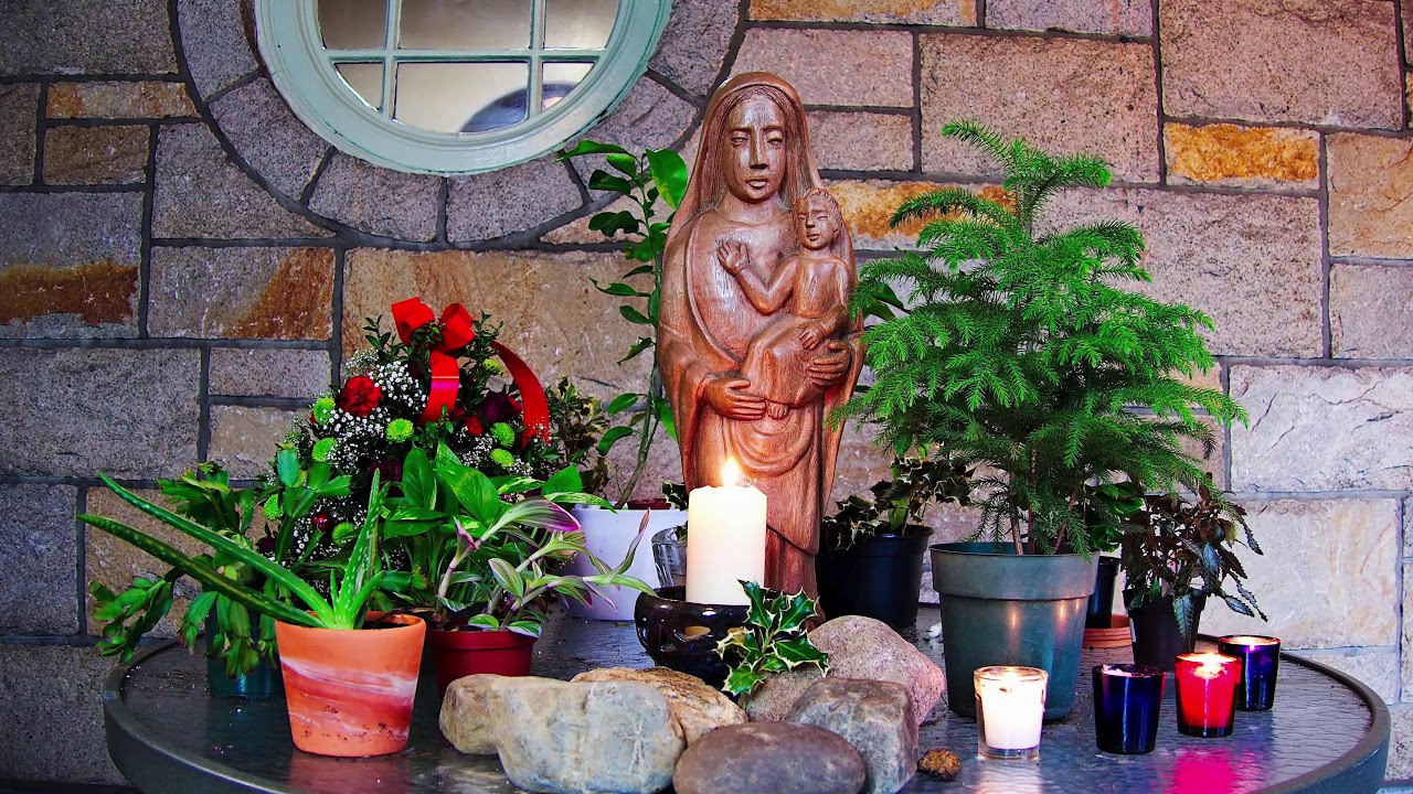 Our Mary Garden and the Christmas Tree