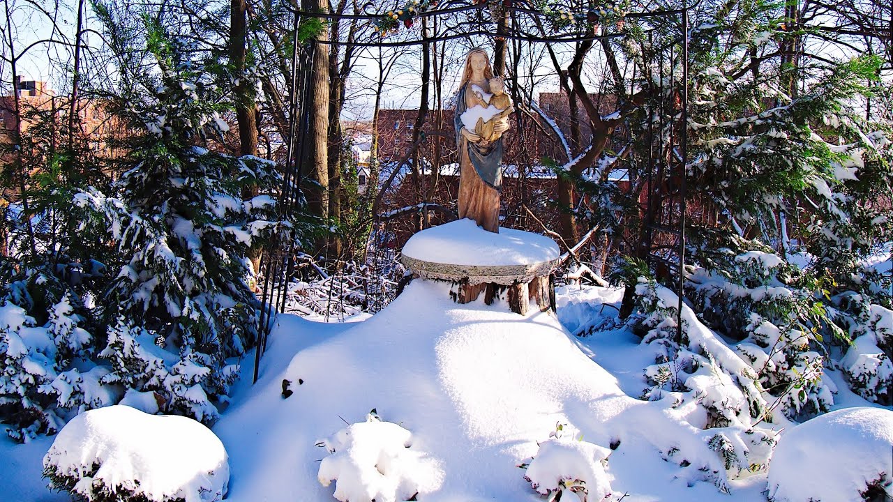 First Snow in Our Mary Garden